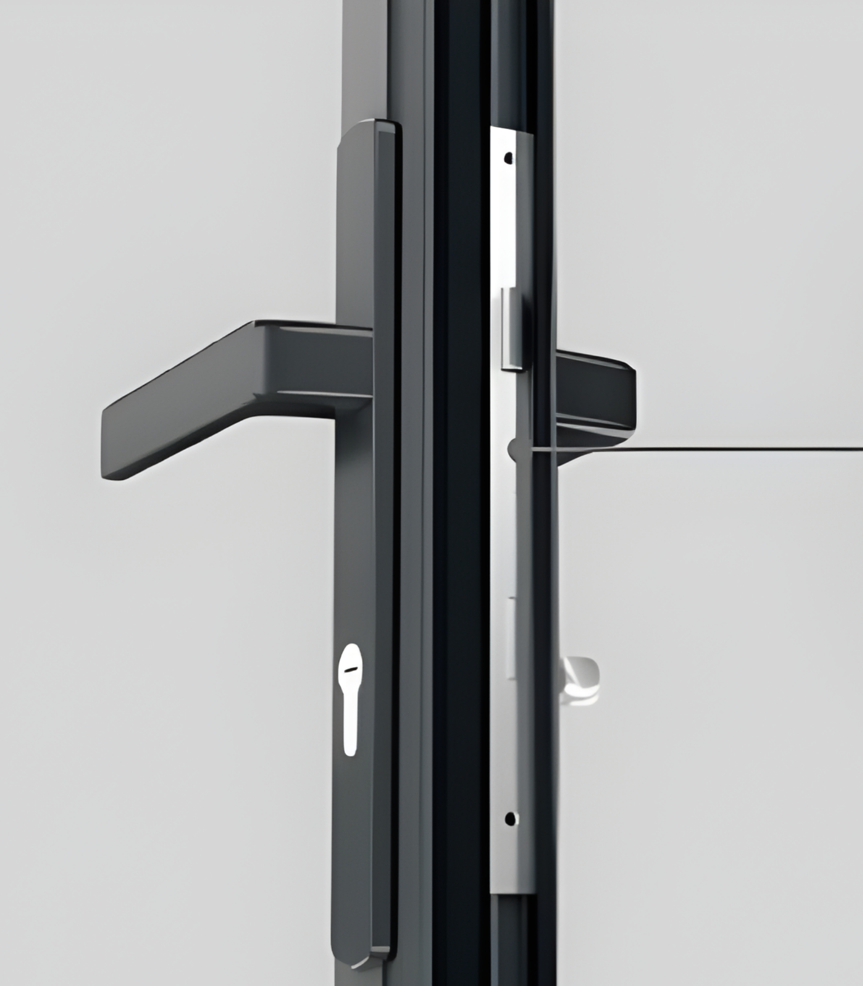 VLX 100 Swing / Entry Door in Pembroke Pines, FL | TruePane Windows & Doors - detail 5